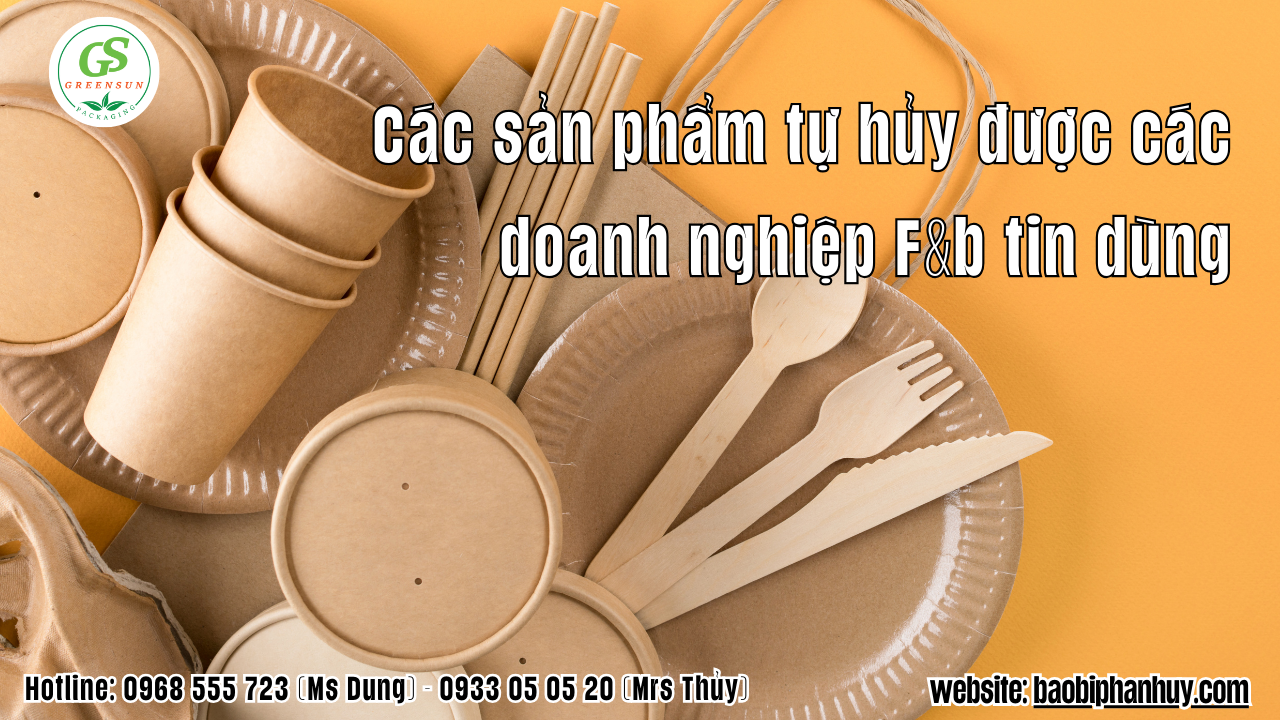 các sản phẩm ly giấy túi kraft an toàn cho sức khỏe
