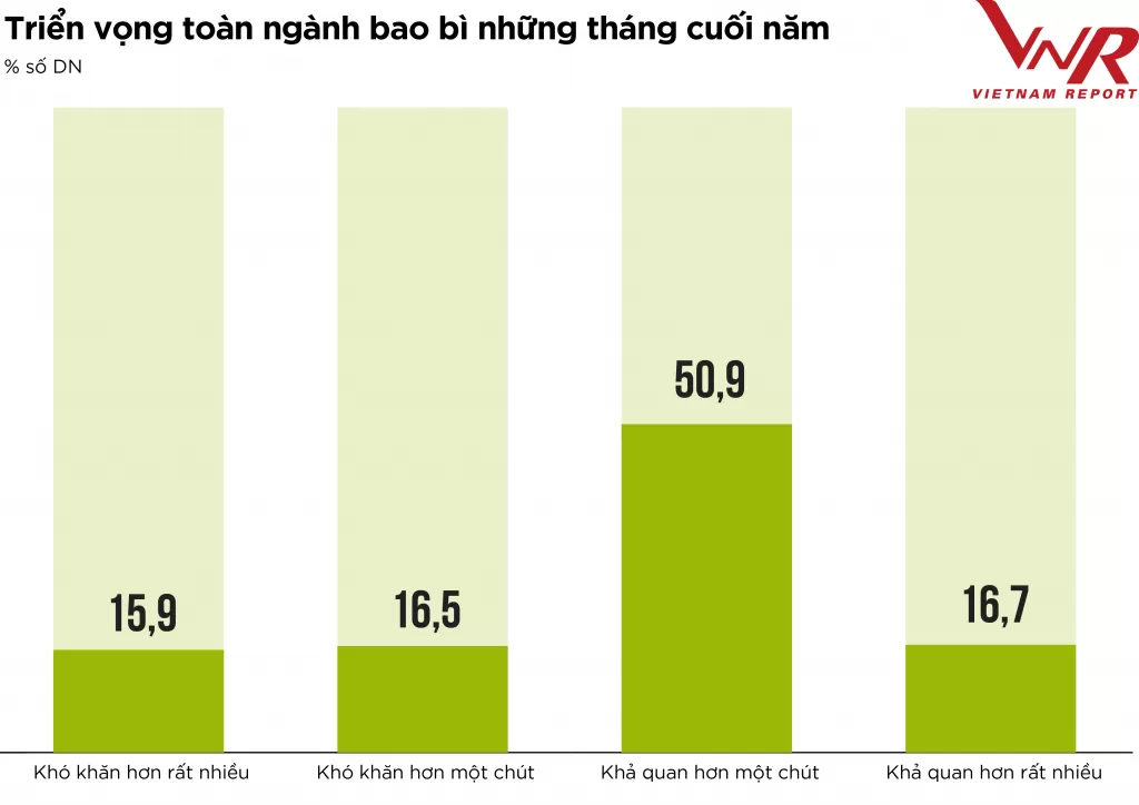 cơ hội của ngành bao bì 