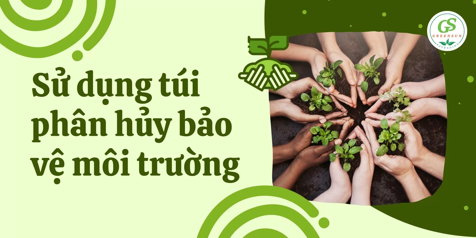túi tự phân hủy hai quai đựng thực phẩm