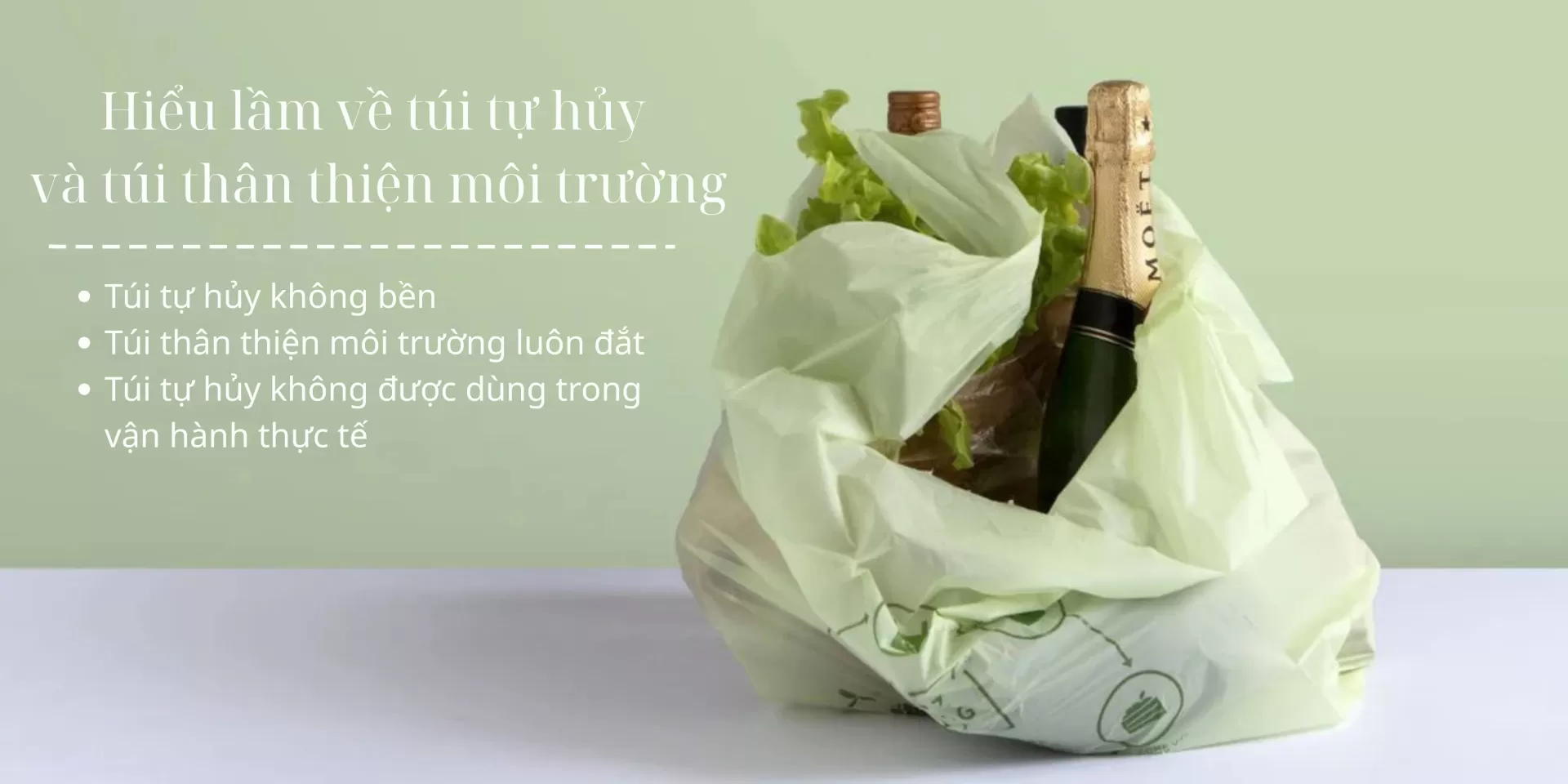 hiểu lầm về t&uacute;i tự hủy v&agrave; t&uacute;i th&acirc;n thiện m&ocirc;i trường