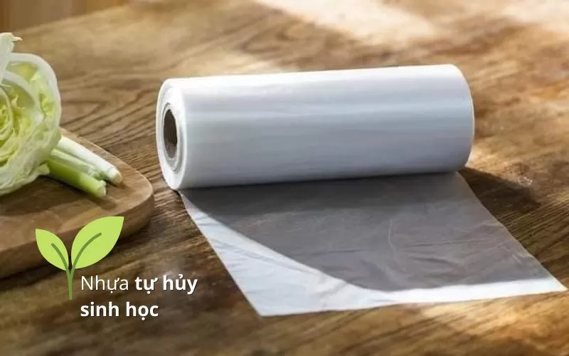 bao b&igrave; sinh học 3