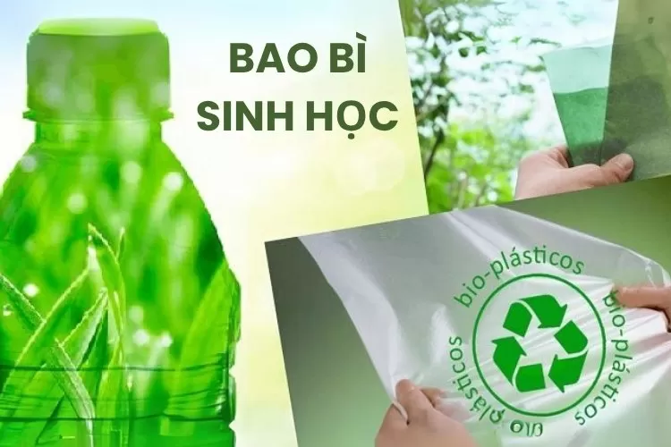 các loại túi tinh bột
