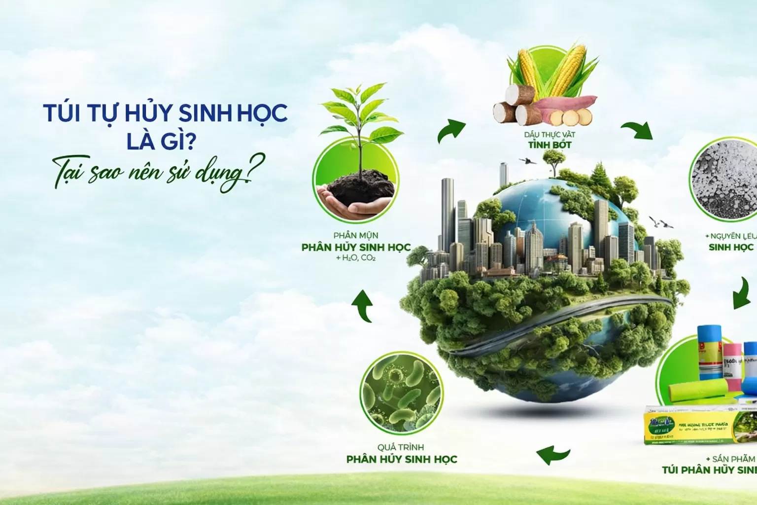 t&uacute;i tự hủy sinh học l&agrave; g&igrave;?