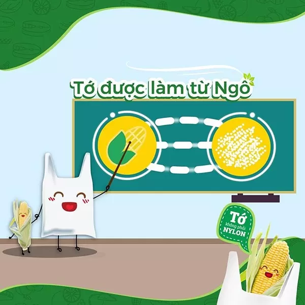 cơ hội cho túi tinh bột