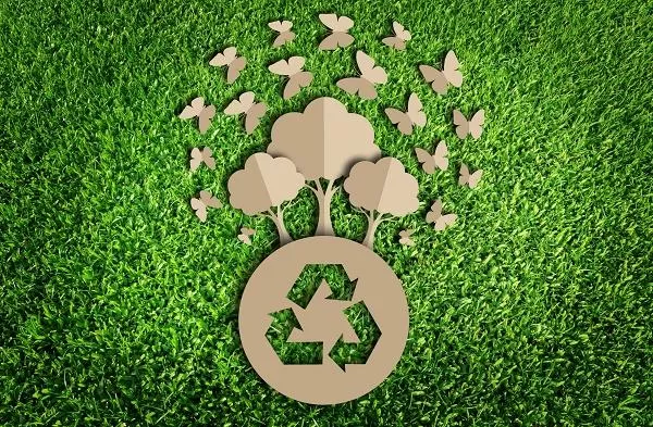 chuyển đổi xanh 