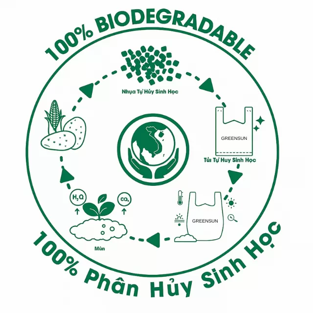 Những thách thức trong việc sử dụng túi tinh bột hiện nay