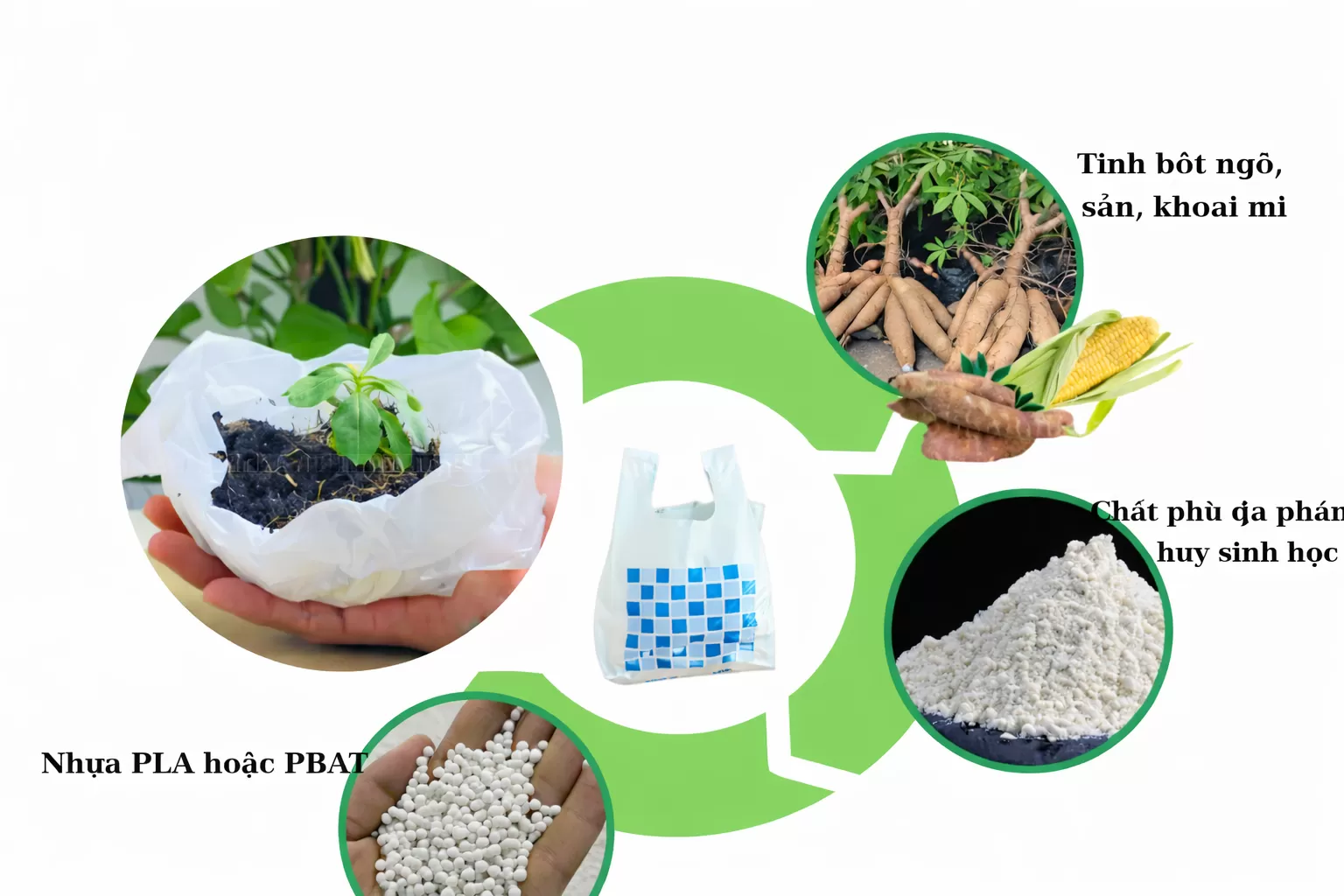 nguy&ecirc;n liệu l&agrave;m ra t&uacute;i tự hủy