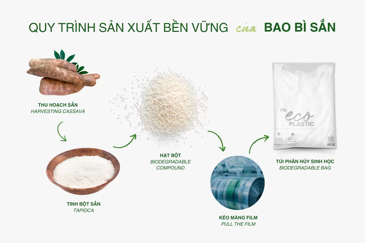 Túi tinh bột và hành trình phân hủy 2
