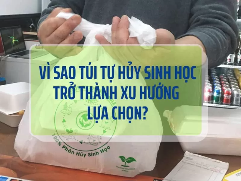 Nghị định của chính phủ về túi tự hủy sinh học