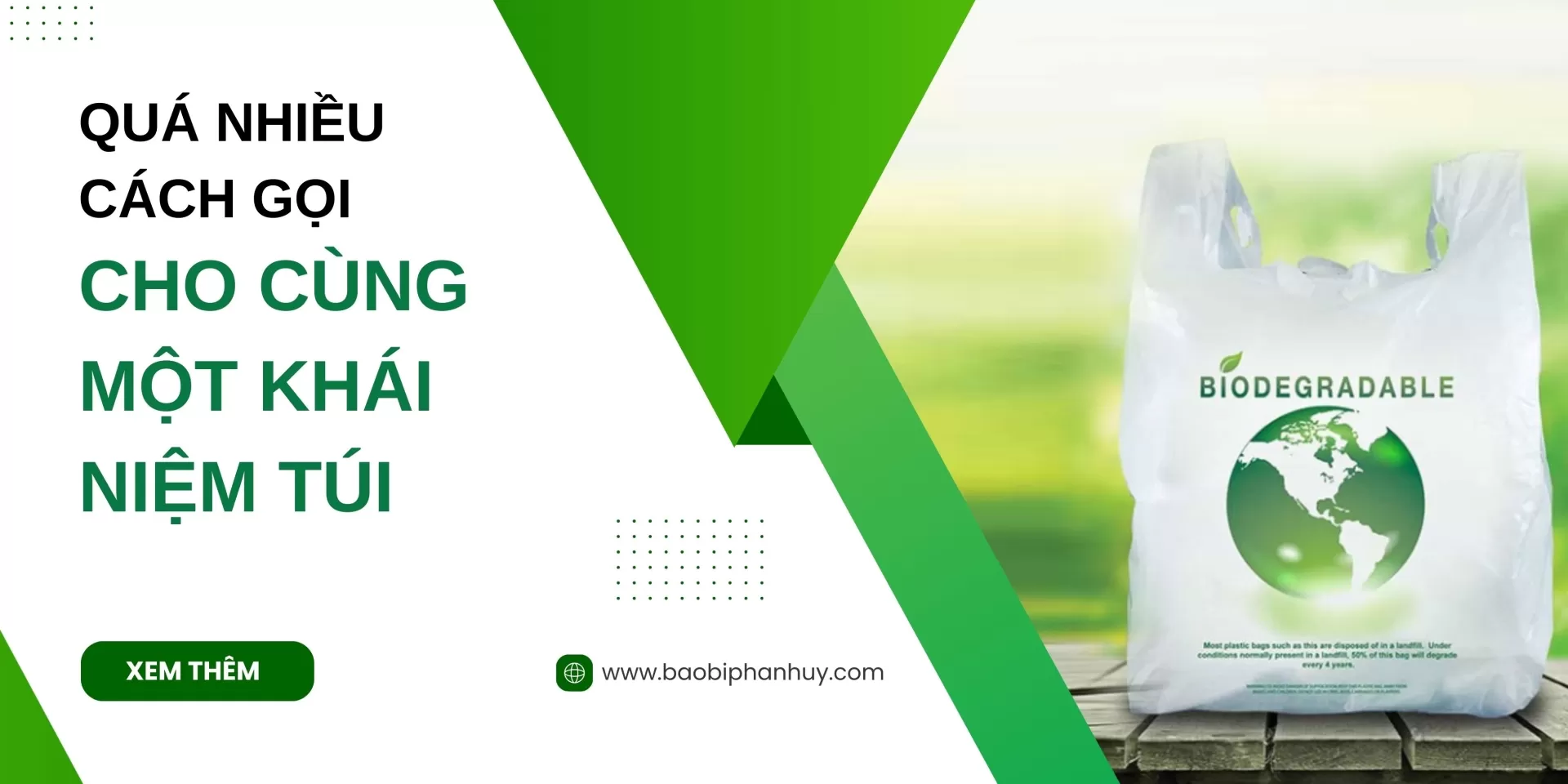 Túi Thân Thiện Môi Trường Là Gì? Phân Biệt Với Túi Thông Thường