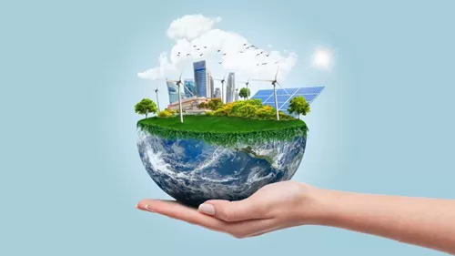 Túi Phân Hủy Sinh Học – Bước Chuyển Mới Cho Doanh Nghiệp