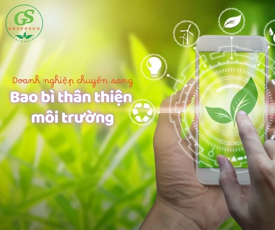 Túi Thân Thiện Môi Trường – Giải Pháp Sống Xanh