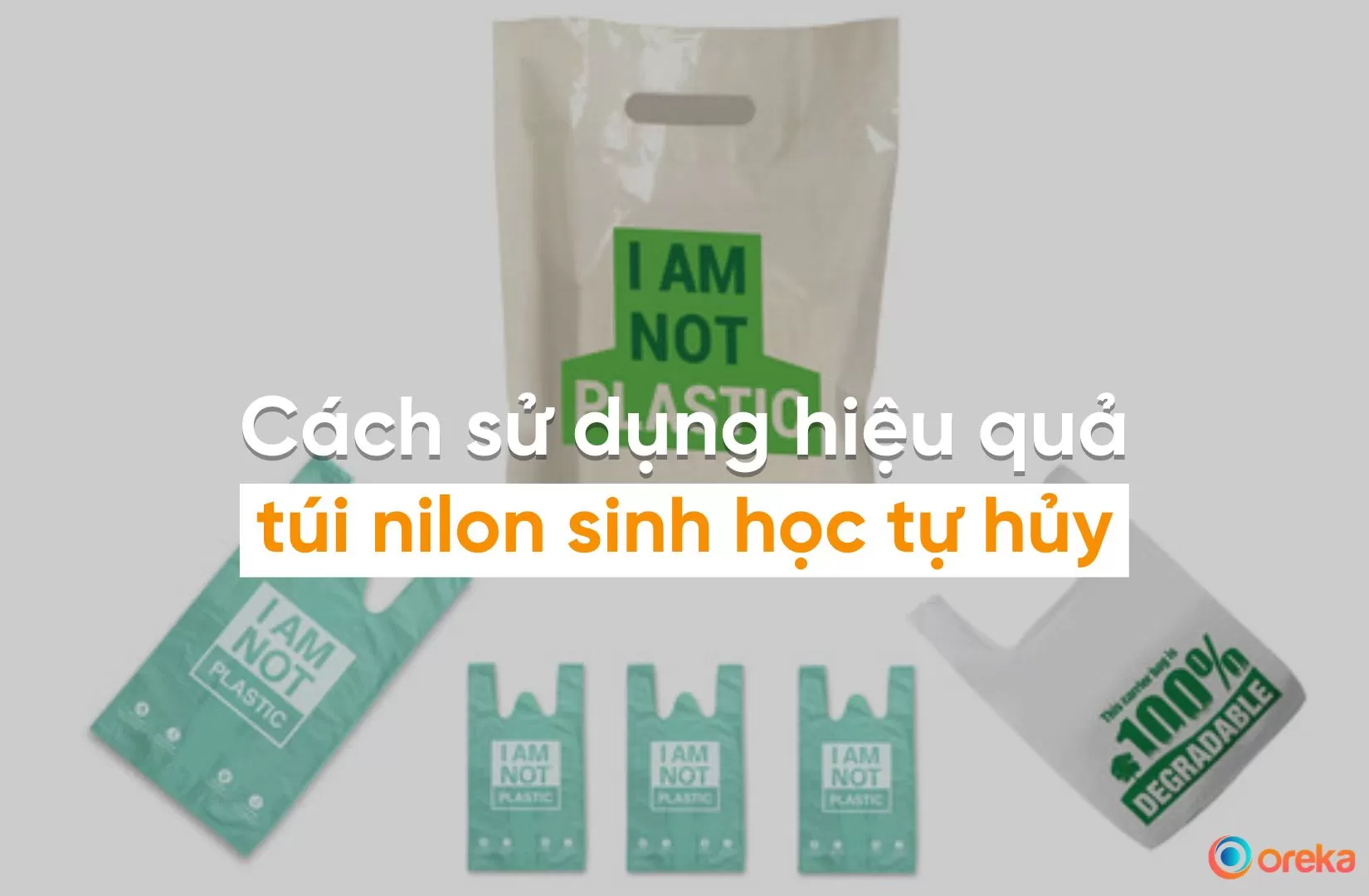 Túi Tự Hủy Từ Nhựa Sinh Học - Lựa Chọn Nào Phù Hợp