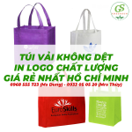 Túi vải không dệt - Giá rẻ - In ấn miễn phí - Chất lượng top 1 Hồ Chí Minh